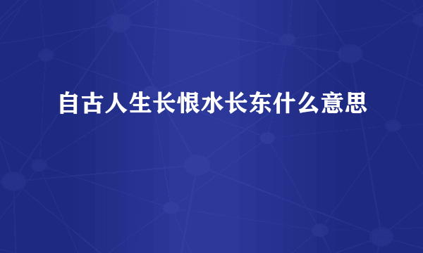 自古人生长恨水长东什么意思