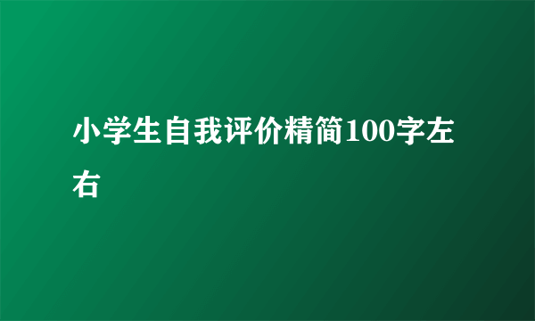 小学生自我评价精简100字左右
