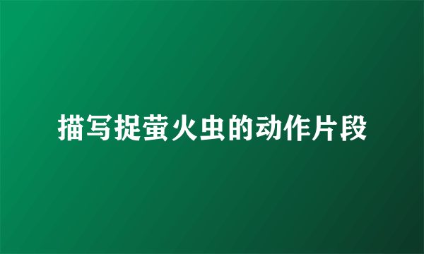 描写捉萤火虫的动作片段