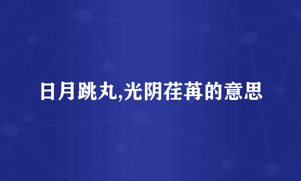 日月跳丸,光阴荏苒的意思