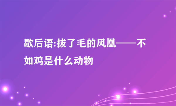 歇后语:拔了毛的凤凰——不如鸡是什么动物