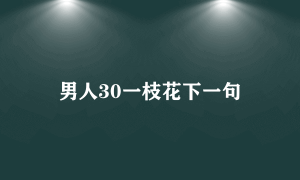 男人30一枝花下一句