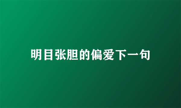 明目张胆的偏爱下一句