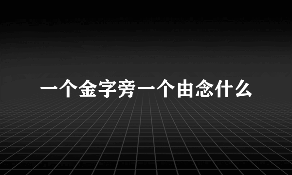 一个金字旁一个由念什么
