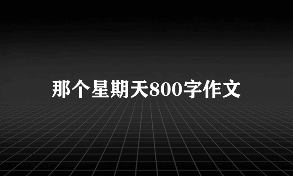 那个星期天800字作文