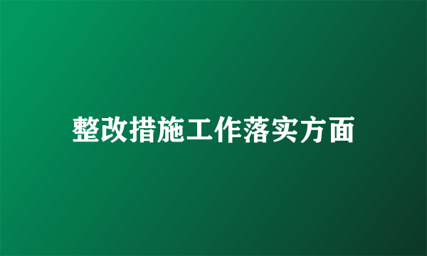 整改措施工作落实方面