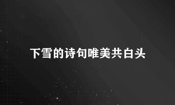 下雪的诗句唯美共白头