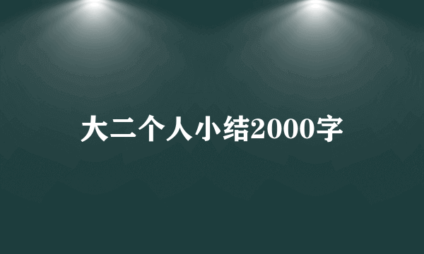 大二个人小结2000字