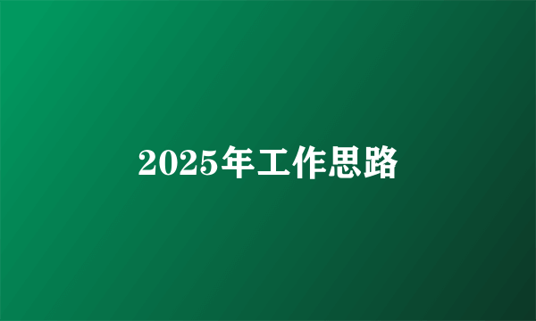 2025年工作思路