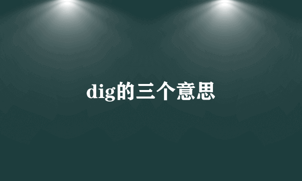 dig的三个意思