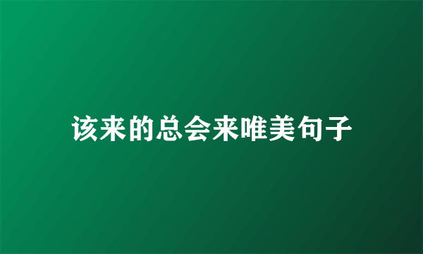 该来的总会来唯美句子
