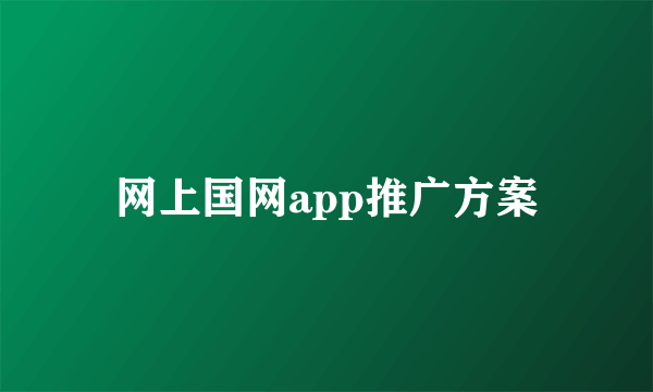 网上国网app推广方案