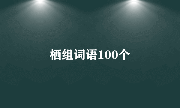 栖组词语100个