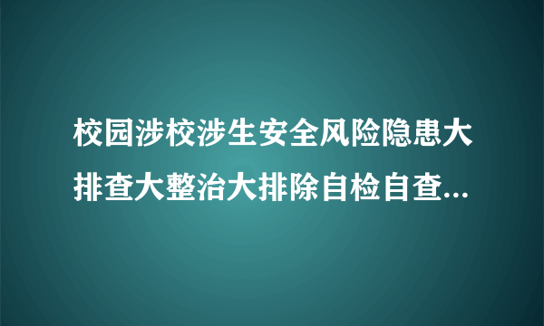 校园涉校涉生安全风险隐患大排查大整治大排除自检自查工作开展情况报告例文