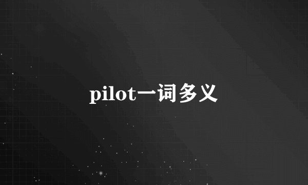 pilot一词多义
