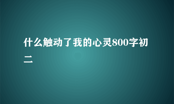 什么触动了我的心灵800字初二