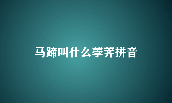 马蹄叫什么荸荠拼音