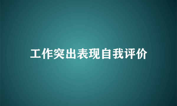 工作突出表现自我评价