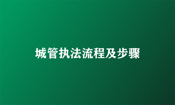 城管执法流程及步骤