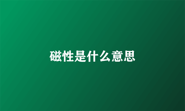 磁性是什么意思