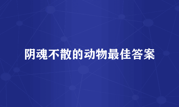 阴魂不散的动物最佳答案