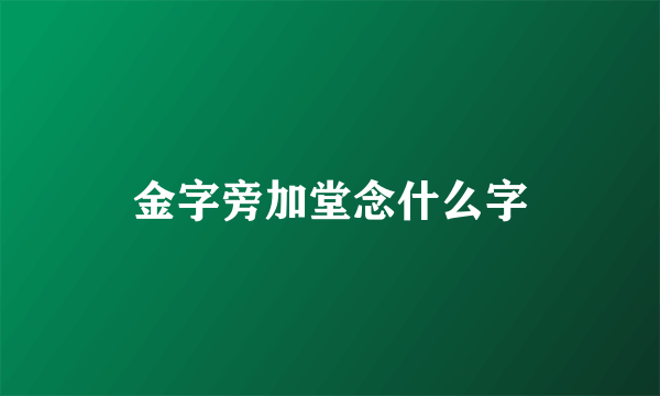 金字旁加堂念什么字