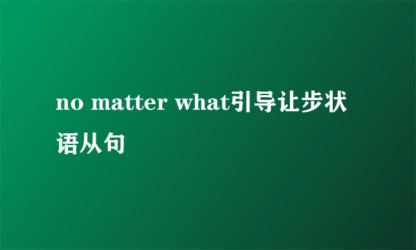 no matter what引导让步状语从句