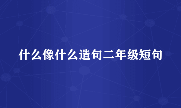 什么像什么造句二年级短句