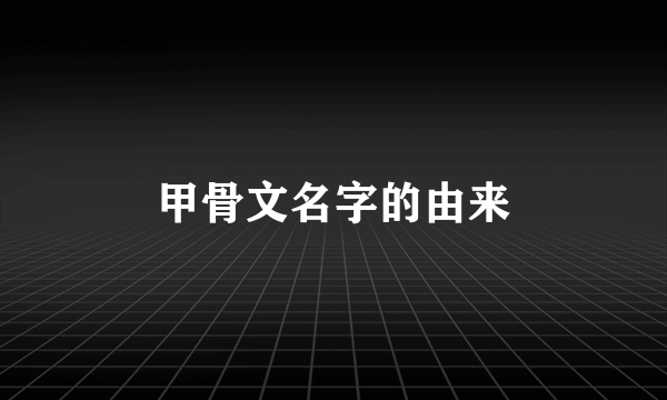 甲骨文名字的由来