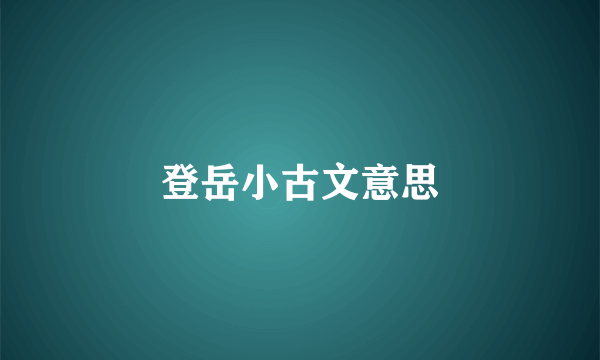 登岳小古文意思