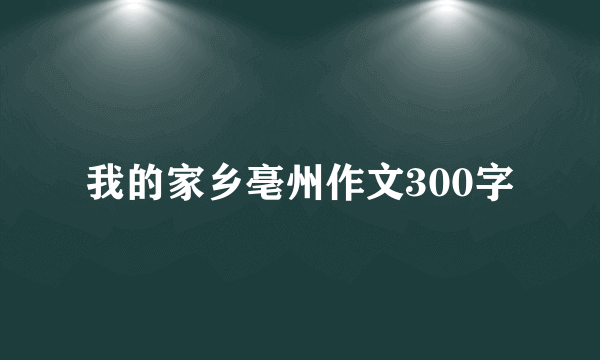 我的家乡亳州作文300字