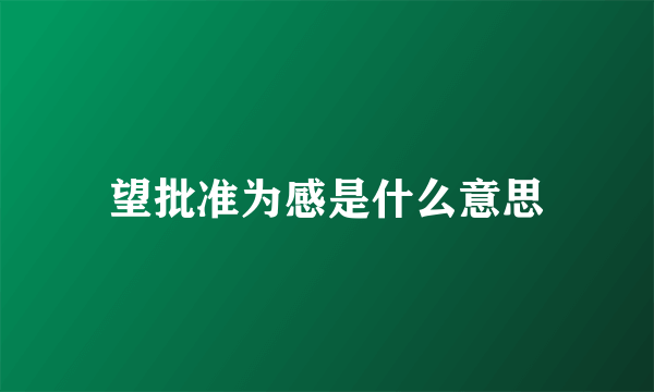 望批准为感是什么意思