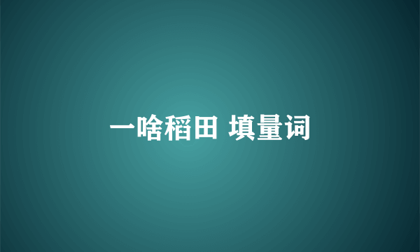 一啥稻田 填量词