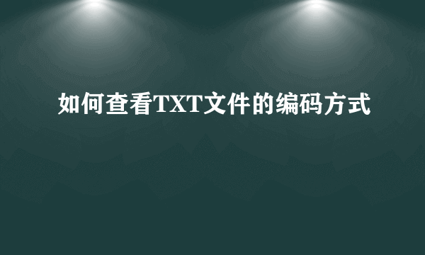 如何查看TXT文件的编码方式