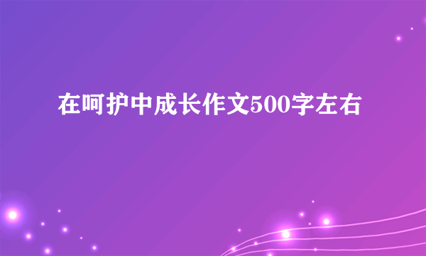 在呵护中成长作文500字左右