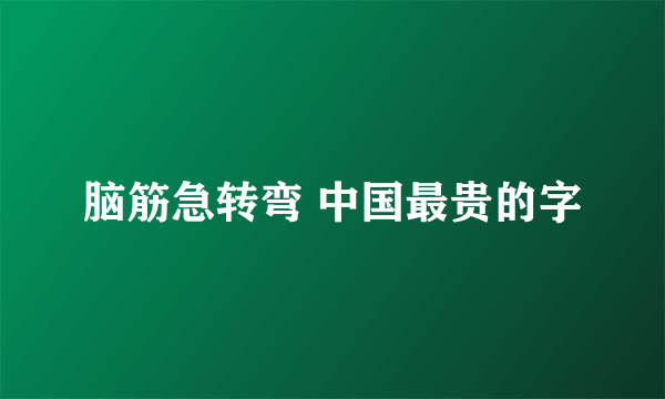 脑筋急转弯 中国最贵的字
