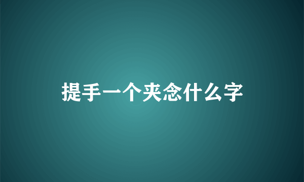 提手一个夹念什么字