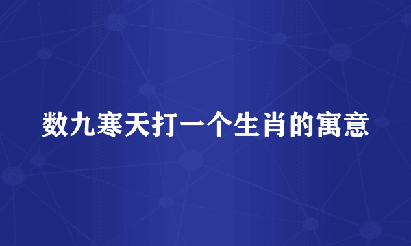 数九寒天打一个生肖的寓意