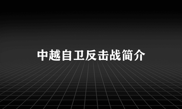 中越自卫反击战简介