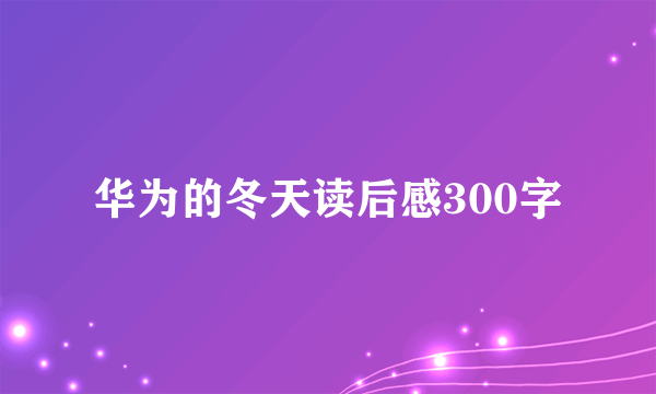 华为的冬天读后感300字