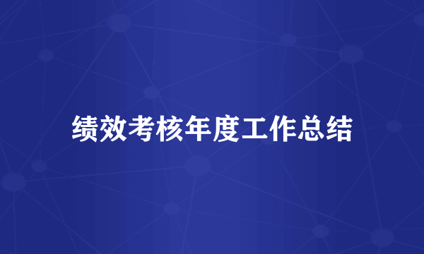 绩效考核年度工作总结