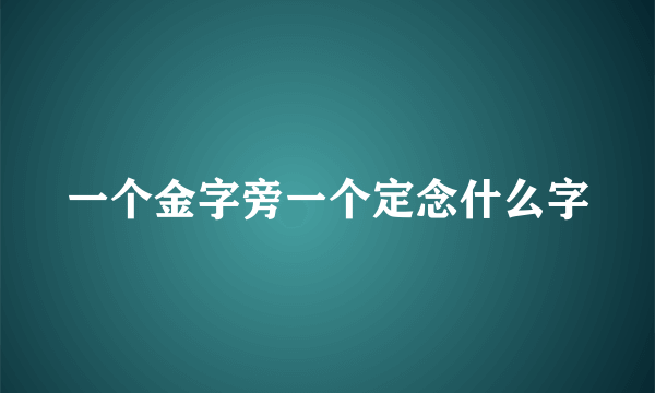 一个金字旁一个定念什么字