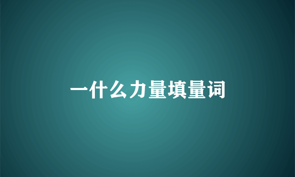 一什么力量填量词