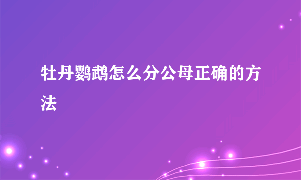 牡丹鹦鹉怎么分公母正确的方法