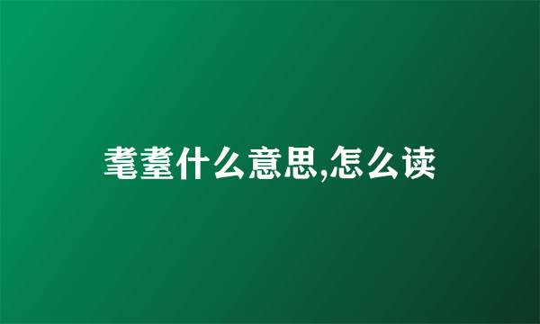 耄耋什么意思,怎么读