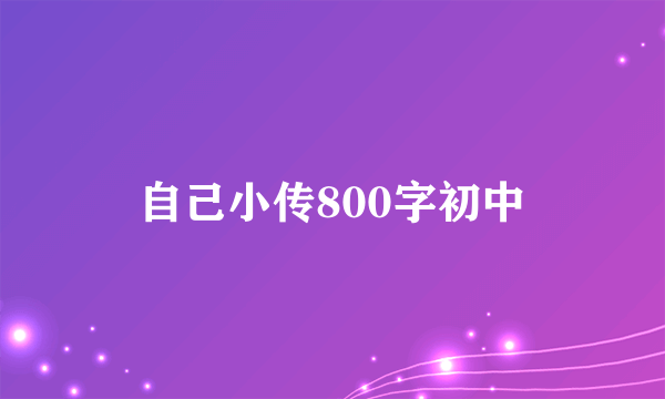 自己小传800字初中