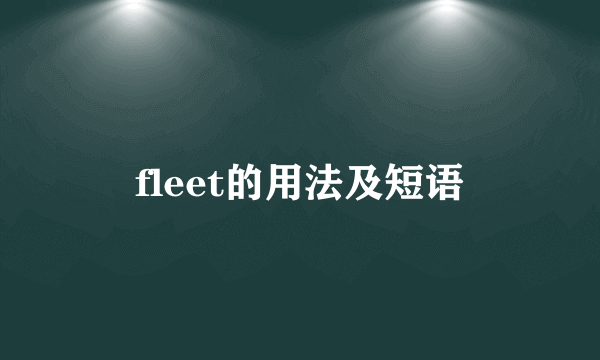 fleet的用法及短语