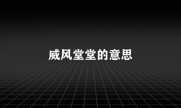 威风堂堂的意思