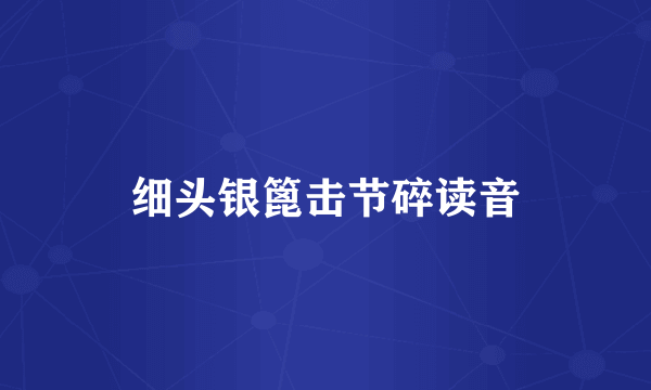 细头银篦击节碎读音