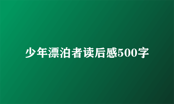 少年漂泊者读后感500字
